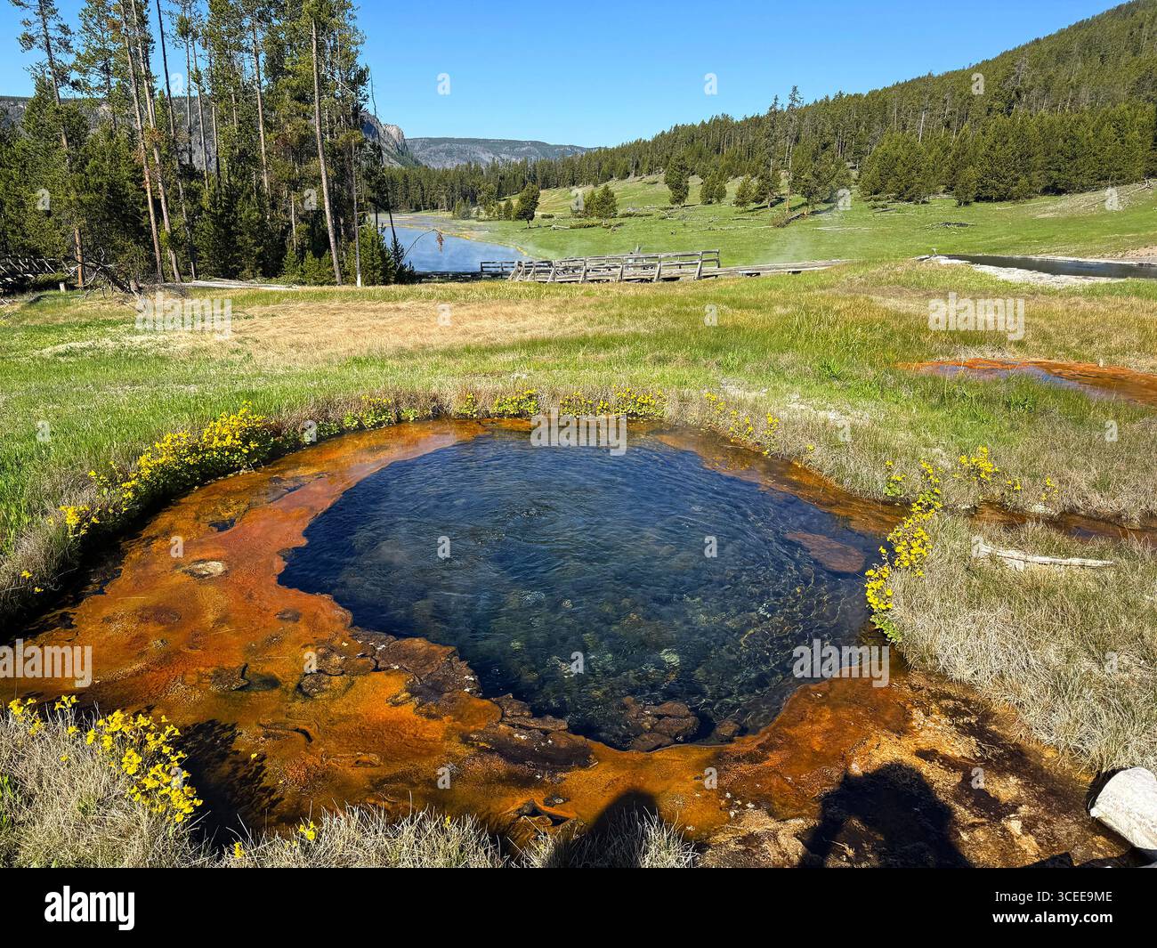 Vue panoramique d'une source chaude d'eau de bioilage dans une piscine à Terrace Springs dans le parc national de Yellowstone. Personne. - Image de stock capturée avec un smartphone