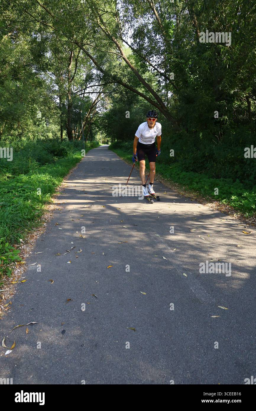 Homme roller ski sur la piste cyclable de forêt en été Banque D'Images