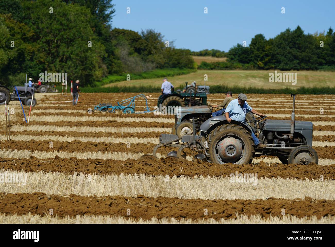Tracteurs vintage en action lors d'un événement de compétition agricole traditionnelle. Labourage Vintage, Rousham, Angleterre Banque D'Images