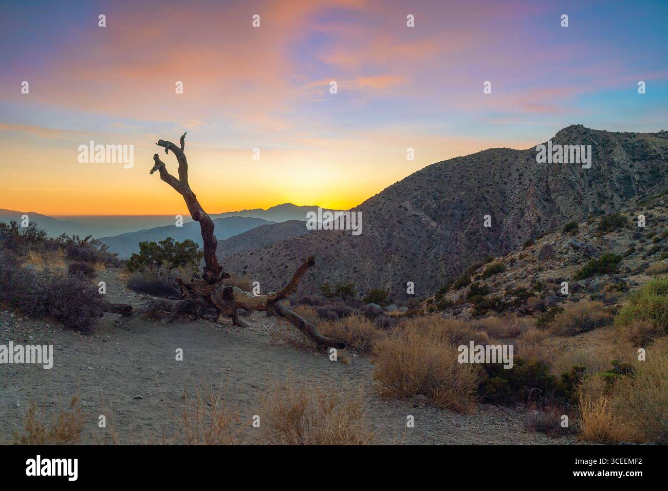 Vue sur le Mont San Jacinto de Keys Voir au coucher du soleil. Joshua Tree National Park. La Californie. USA Banque D'Images Vue sur le Mont San Jacinto de Keys Voir au coucher du soleil. Joshua Tree National Park. La Californie. USA Banque D'Images