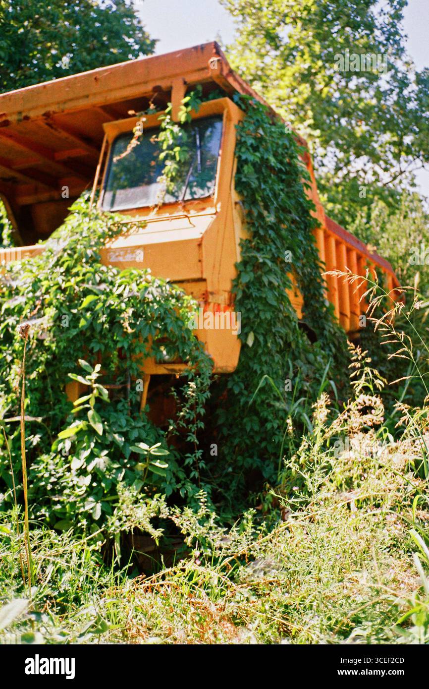 Un vieux camion à benne jaune lourd abandonné, renversé dans la terre avec un contraste jaune-vert, photographié pendant la journée à la lumière du soleil, en utilisant Banque D'Images