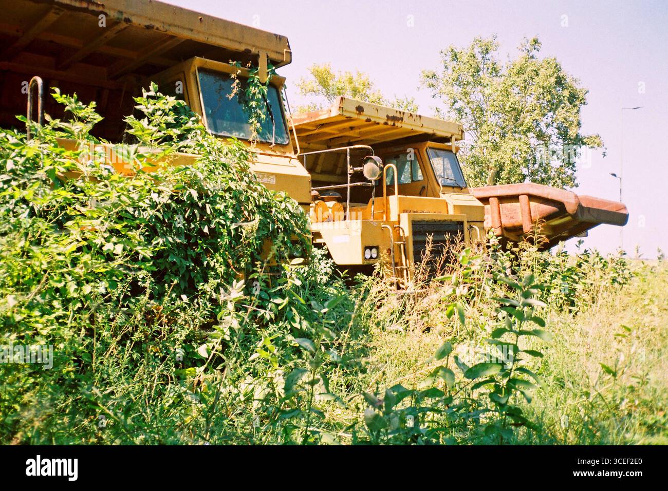 Un vieux camion à benne jaune lourd abandonné, renversé dans la terre avec un contraste jaune-vert, photographié pendant la journée à la lumière du soleil, en utilisant Banque D'Images