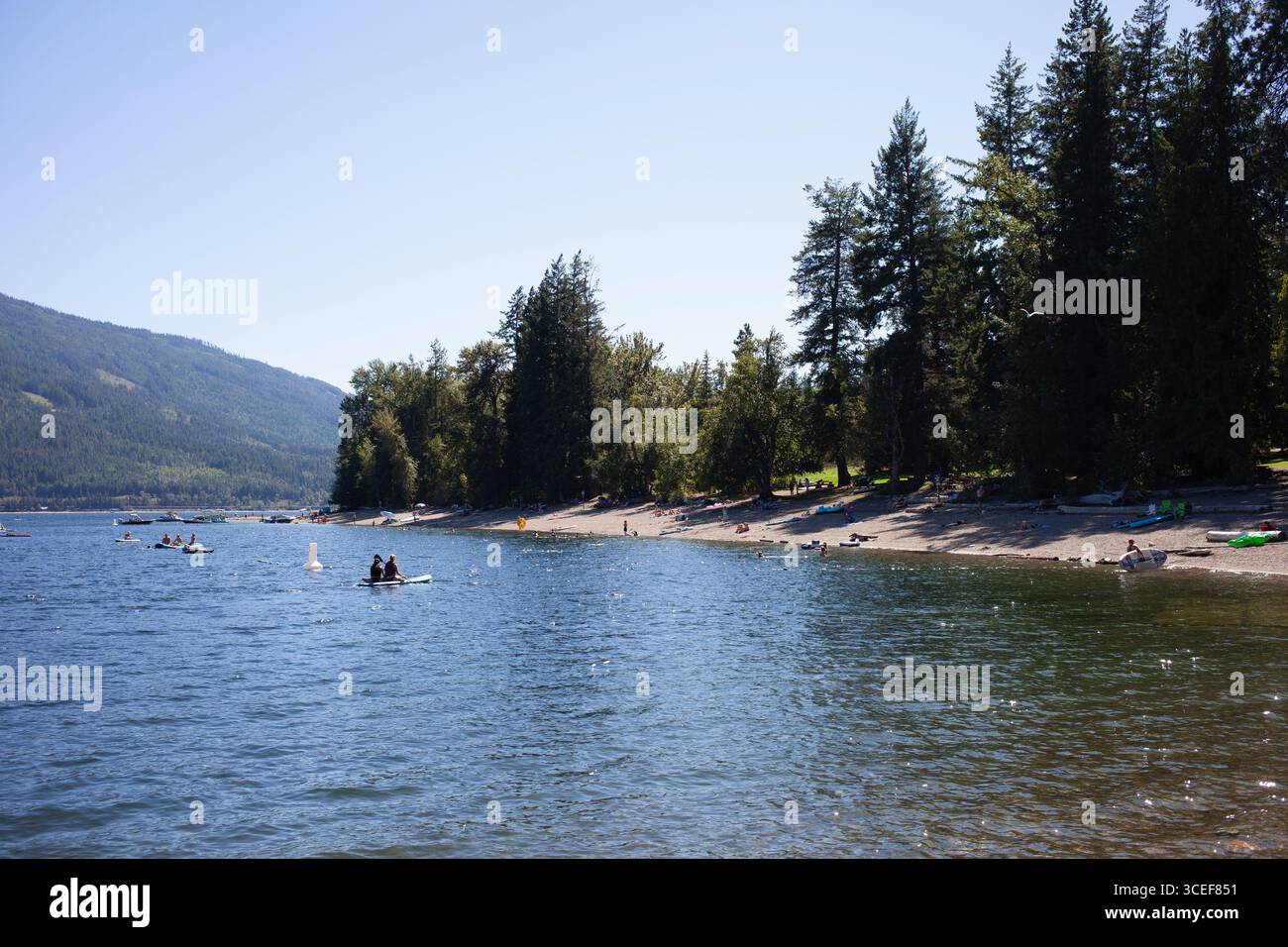 Parc provincial Herald, lac Shuswap, Colombie-Britannique Canada. Banque D'Images