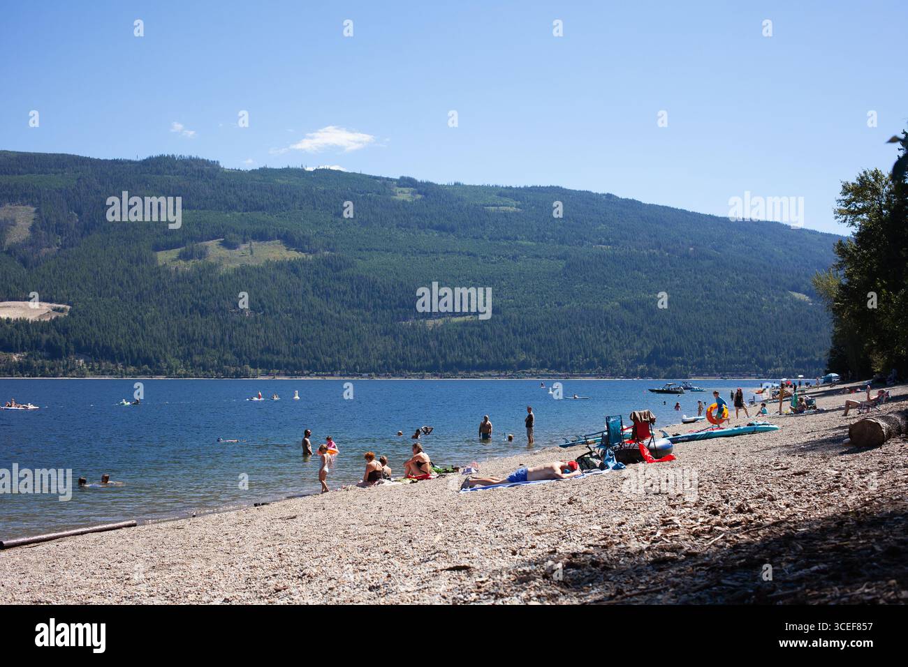 Parc provincial Herald, lac Shuswap, Colombie-Britannique Canada. Banque D'Images