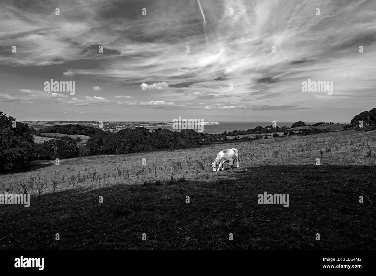 Île de Wight Banque D'Images