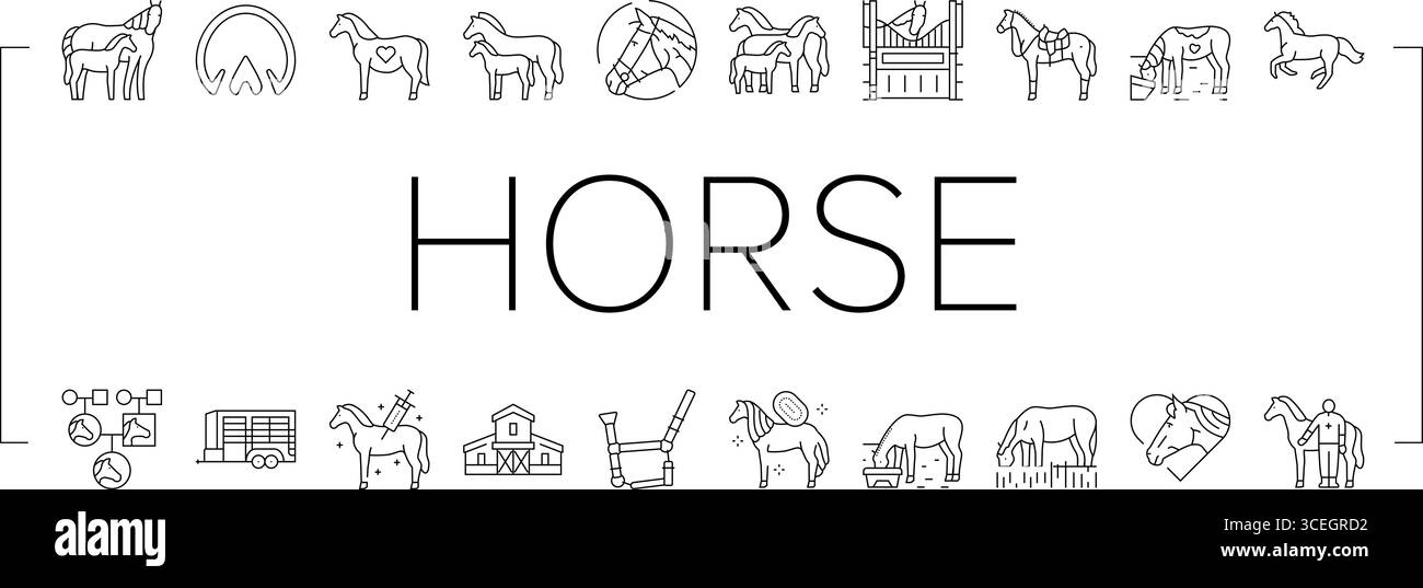 vecteur d'ensemble d'icônes équestres d'élevage de chevaux Illustration de Vecteur
