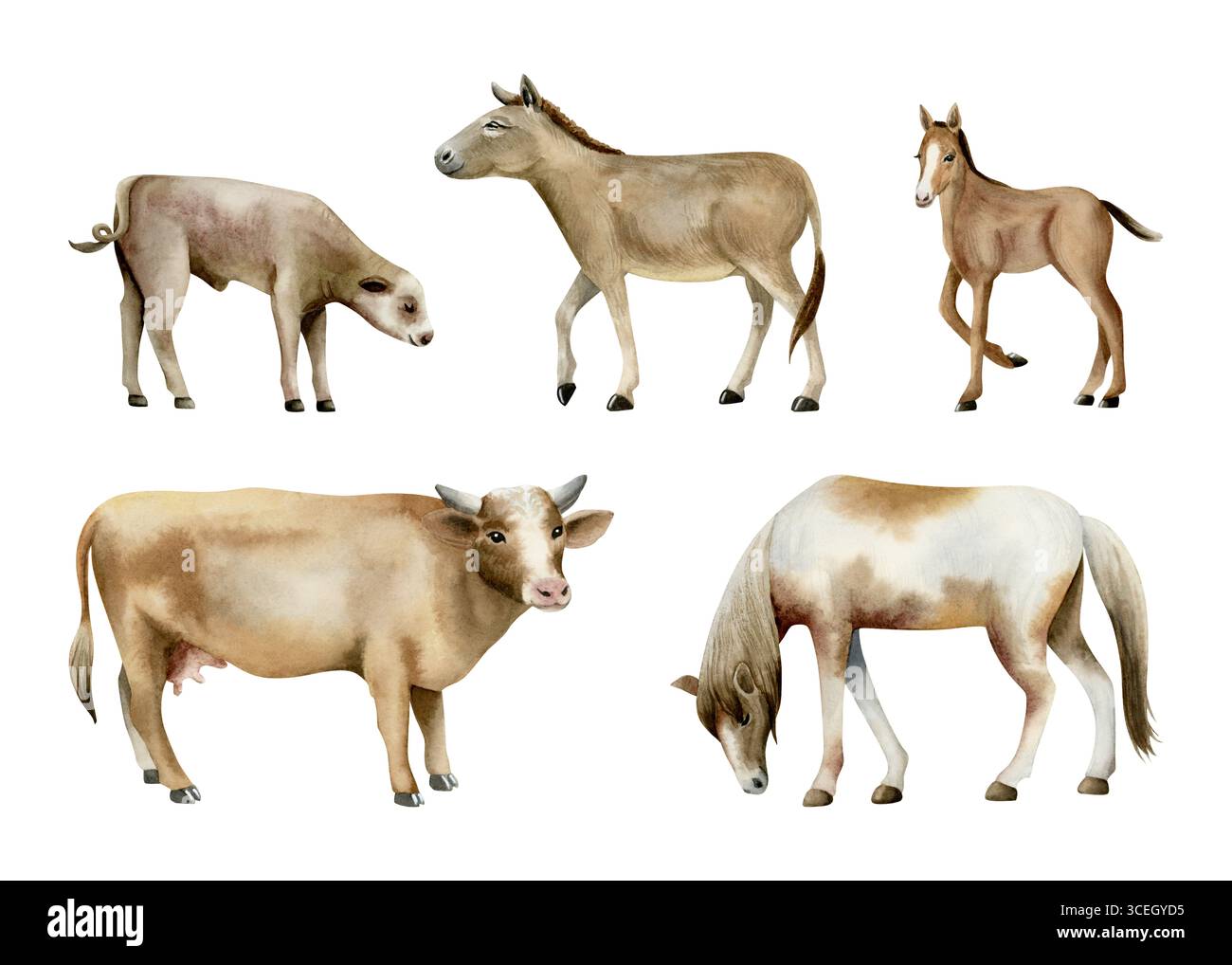 Ensemble d'illustration d'animaux de ferme d'aquarelle isolé sur blanc. Vache, cheval, âne, veau et poulain dessiné à la main clip art en beige brun terreux naturel Banque D'Images