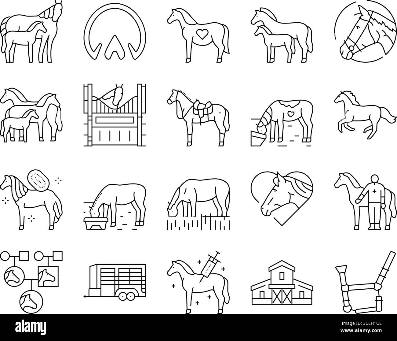 vecteur d'ensemble d'icônes équestres d'élevage de chevaux Illustration de Vecteur