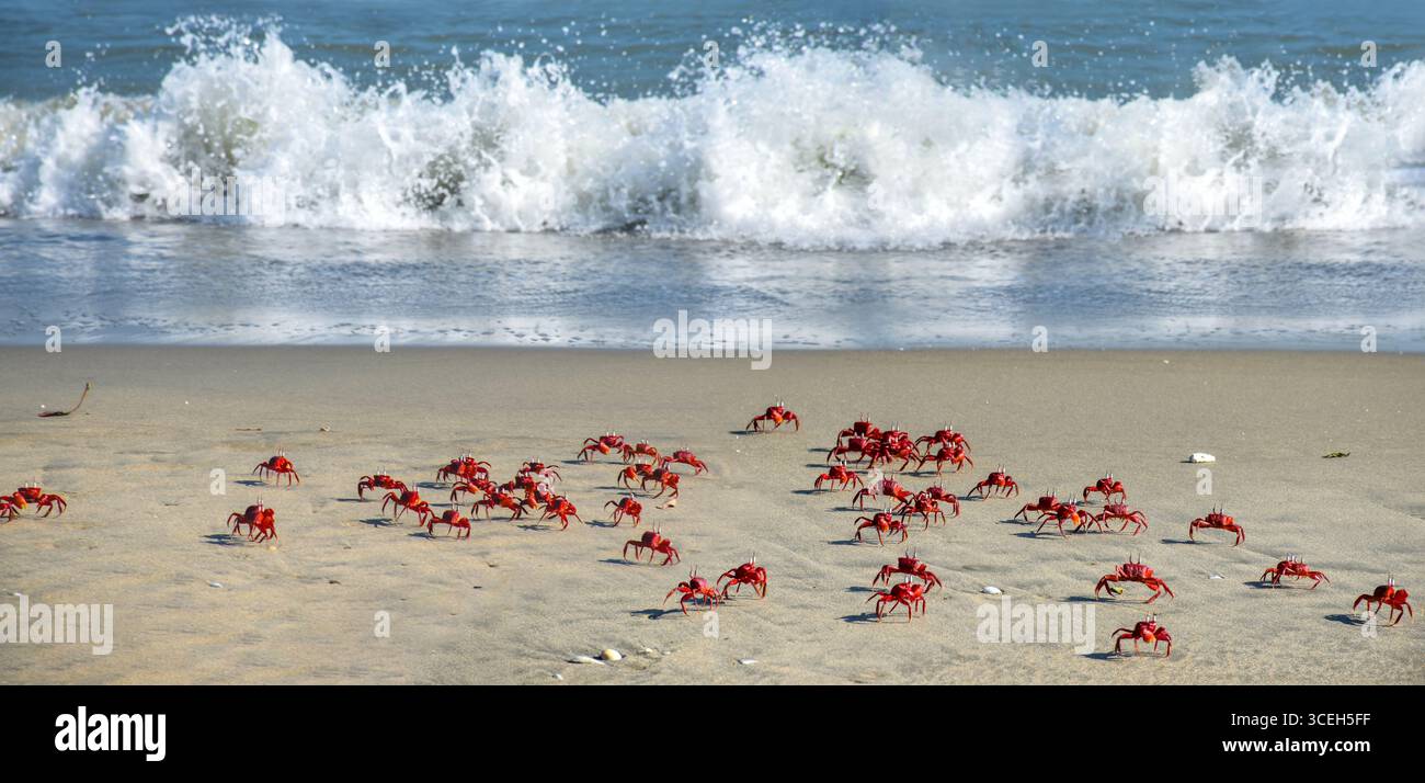 2ème plus longue plage de Cox`s Bazaar Sea Beach, Bangladesh Banque D'Images