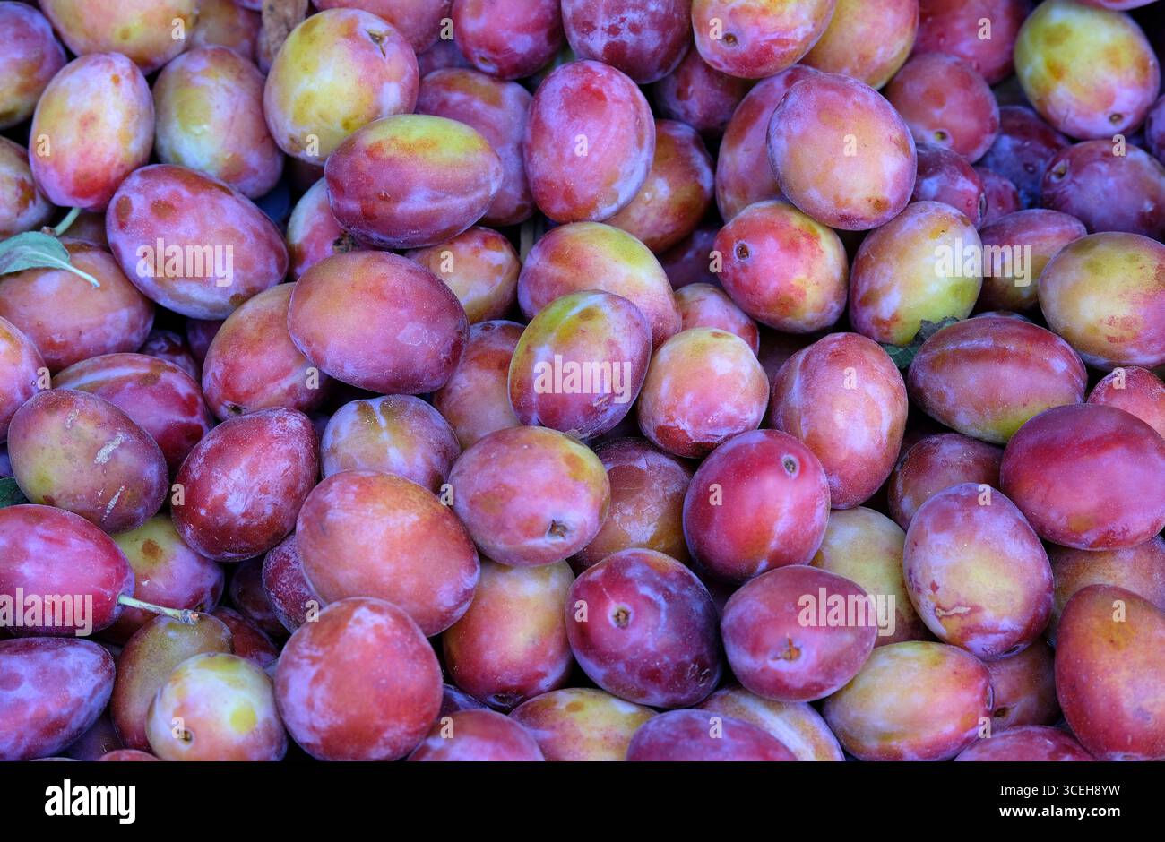 prunes de victoria sur l'étal du marché, norfolk, angleterre Banque D'Images