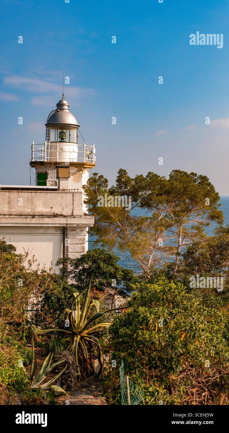 Portofino, Italie : vue imprenable et aérienne sur les pins maritimes et le phare historique de Portofino, construit en 1870, à 40 mètres d'altitude Banque D'Images