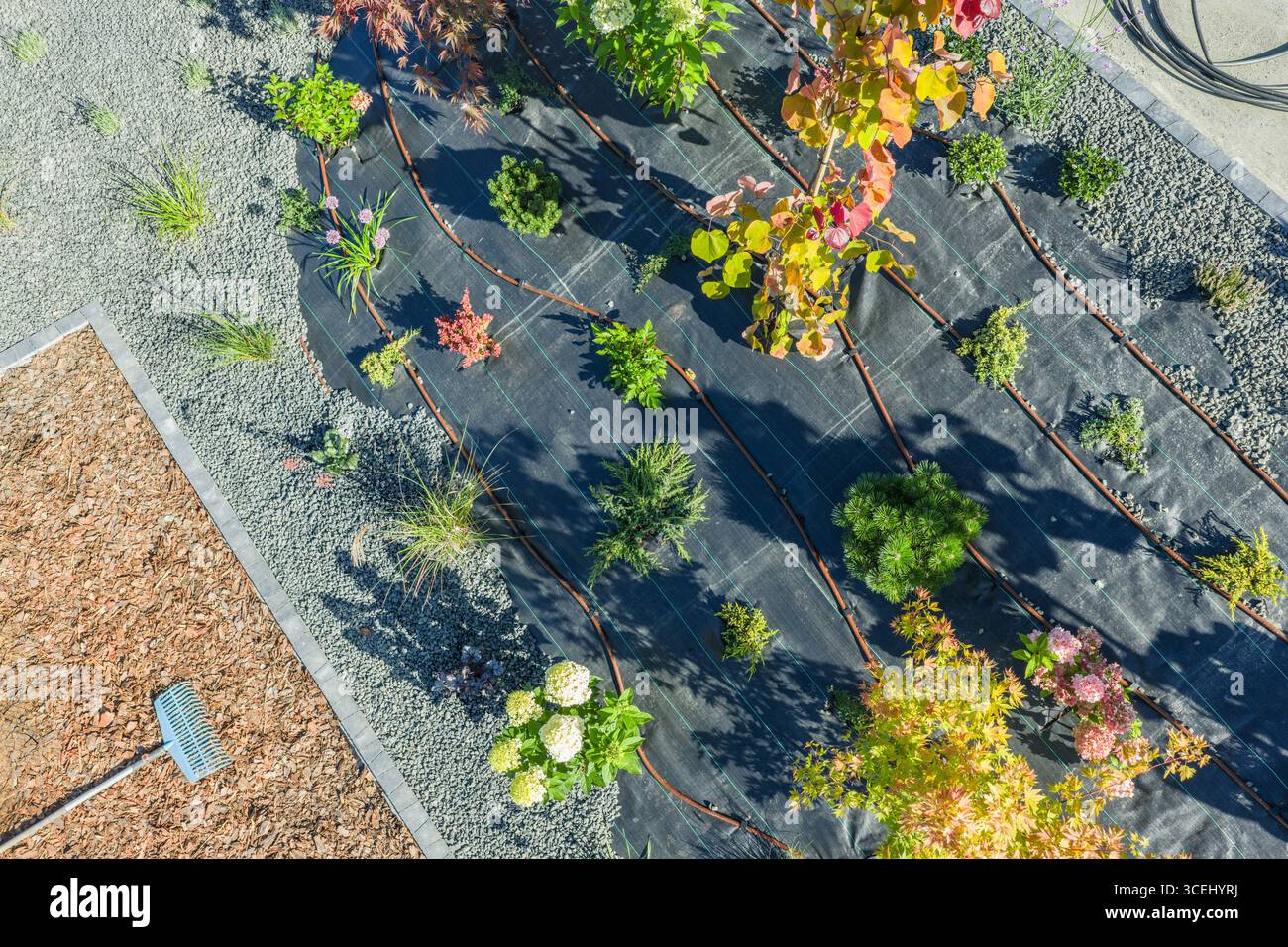 Le jardin présente un aménagement méticuleusement conçu avec diverses plantes disposées sur du gravier et du paillis. La lumière du soleil éclaire le fol vibrant Banque D'Images