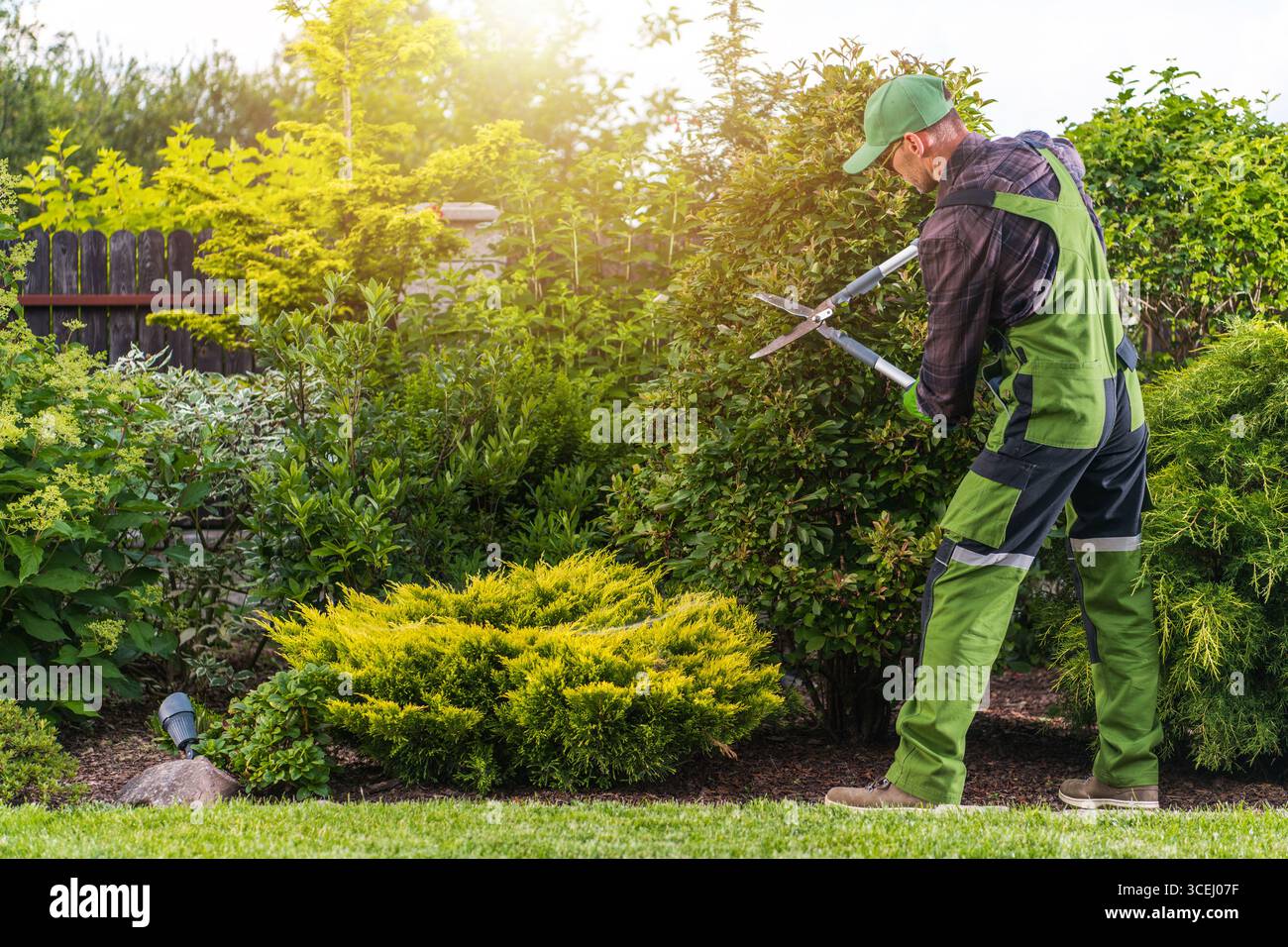 Un jardinier en tenue verte élage habilement les buissons dans une cour arrière vibrante. Le soleil illumine le jardin, soulignant la riche verdure autour. Banque D'Images