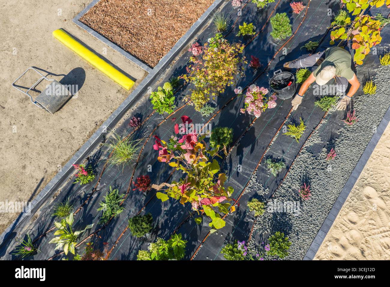 Un jardinier travaille avec diligence sur la plantation de diverses plantes colorées avec un système d'irrigation goutte à goutte Banque D'Images
