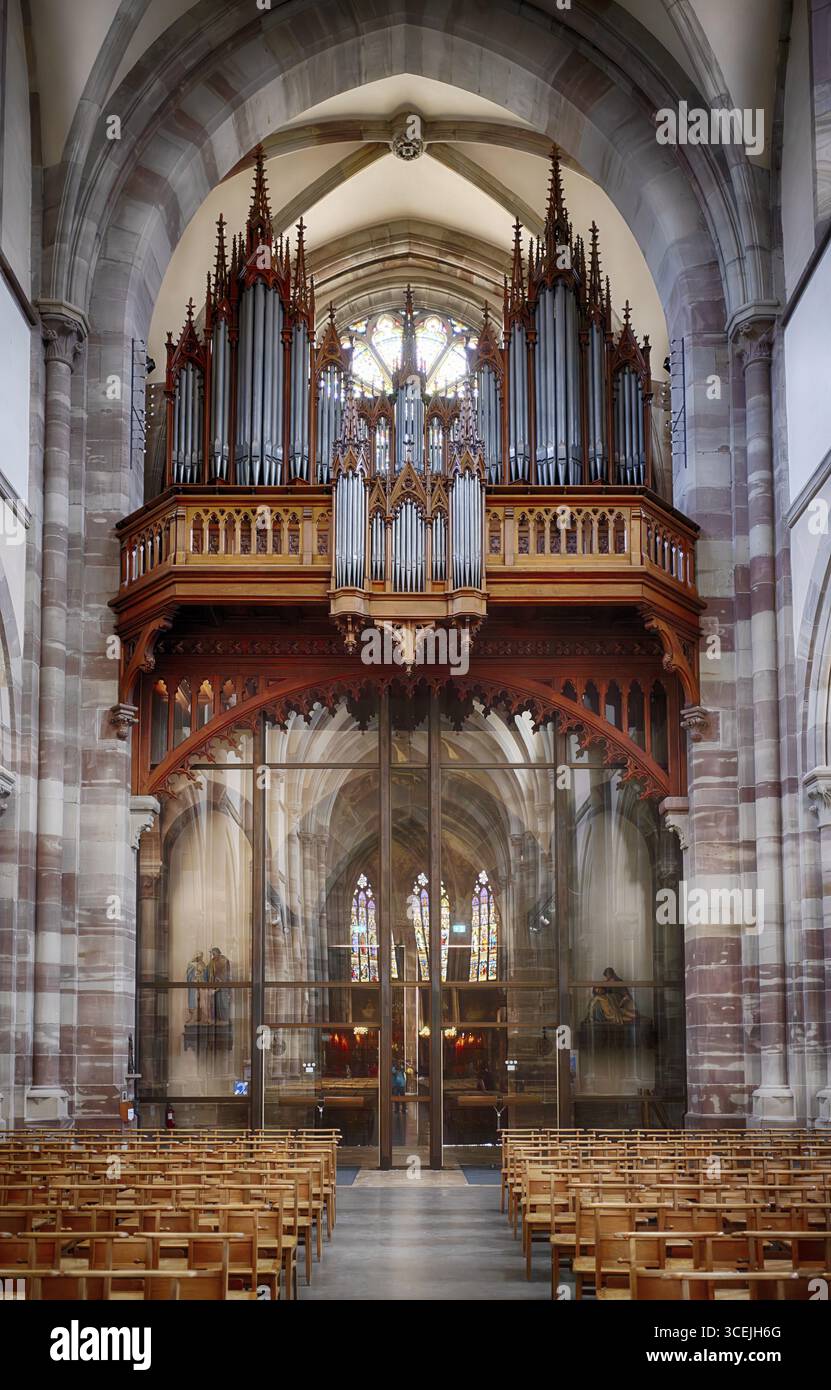 Vue intérieure, orgue, orgue loft, église Eglise Saints Pierre et Paul, composés Peter et rendus Paul, Obernai, also Oberehnheim, Bas-Rhin, Grand-est, Alsace Banque D'Images