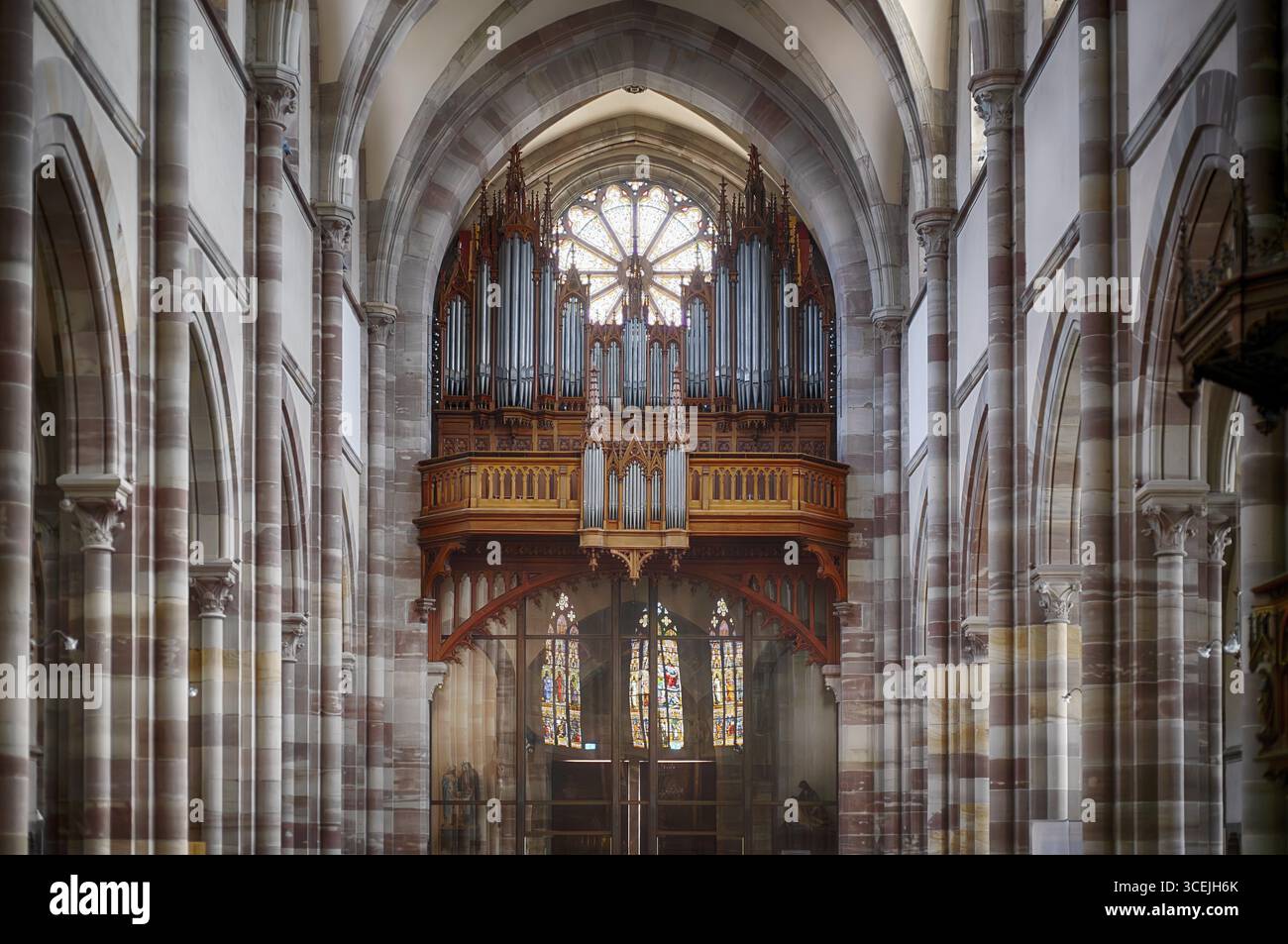 Vue intérieure, orgue, orgue loft, église Eglise Saints Pierre et Paul, composés Peter et rendus Paul, Obernai, also Oberehnheim, Bas-Rhin, Grand-est, Alsace Banque D'Images