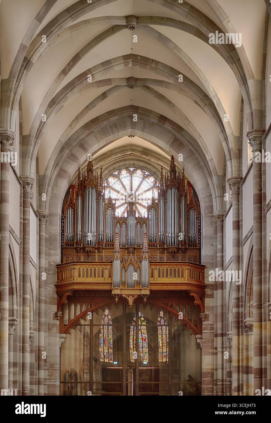 Vue intérieure, orgue, orgue loft, église Eglise Saints Pierre et Paul, composés Peter et rendus Paul, Obernai, also Oberehnheim, Bas-Rhin, Grand-est, Alsace Banque D'Images