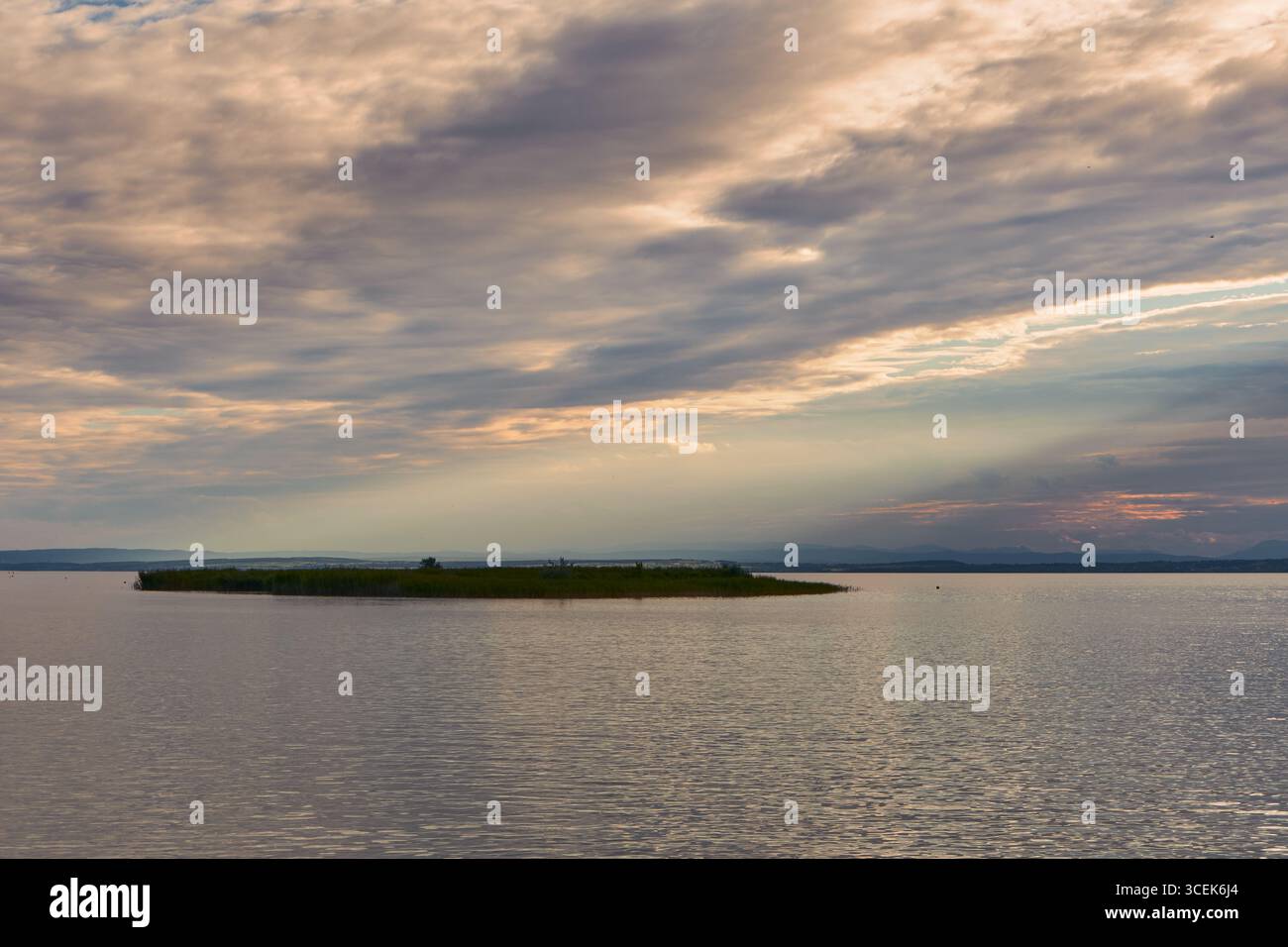 Île verte solitaire dans le lac de Neusiedl, baignée par la lumière dorée chaude du coucher de soleil, avec des rayons de soleil spectaculaires perçant les nuages et des reflets chatoyants Banque D'Images