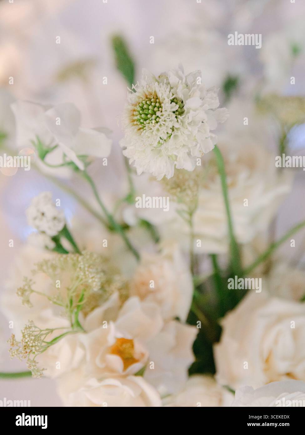 De délicates fleurs blanches disposées magnifiquement créent une atmosphère enchanteresse pour un événement de célébration. Banque D'Images