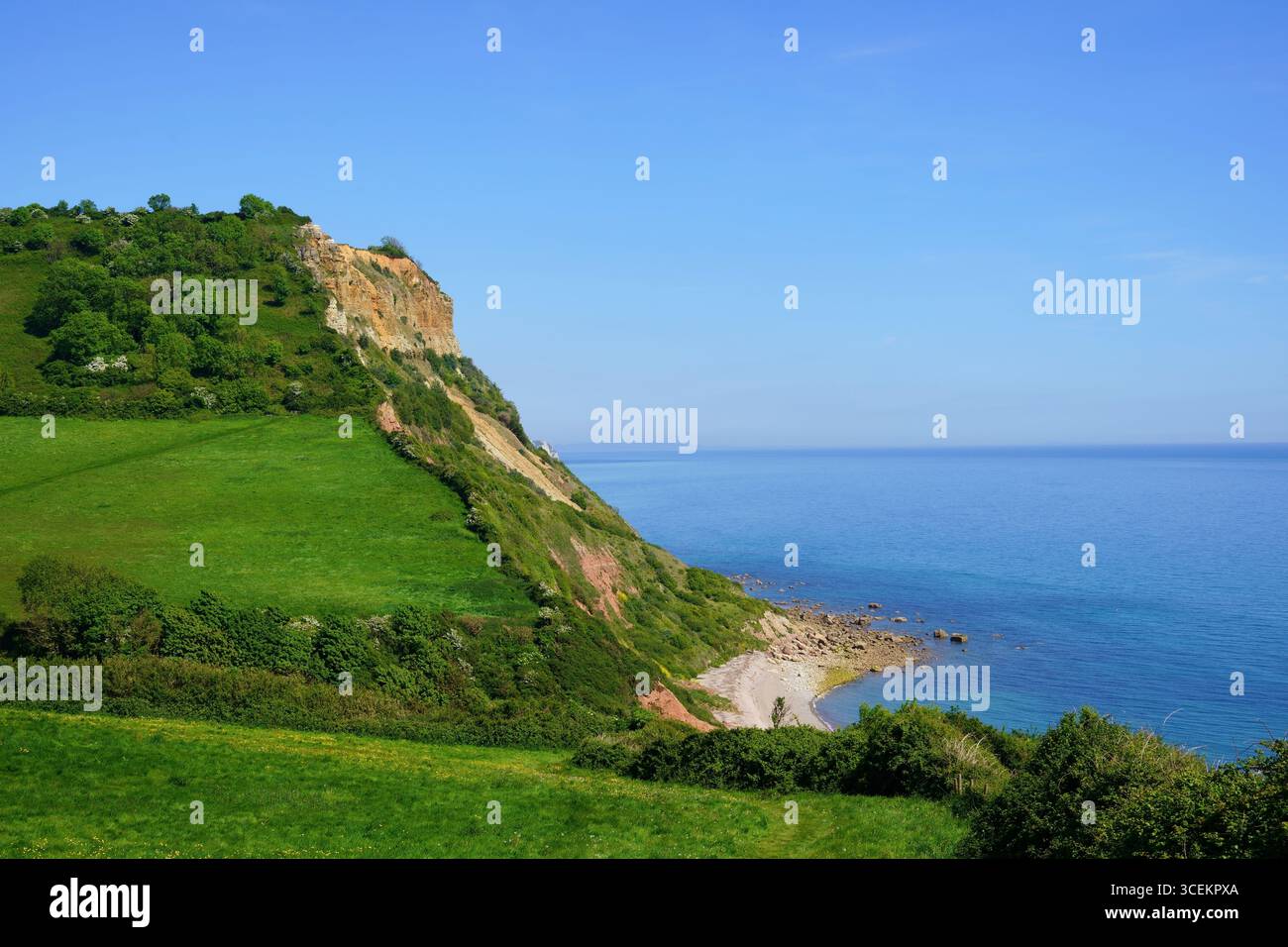 Higher Dunscombe Cliff et Salcombe Mouth, Jurassic Coast, Devon, Angleterre, Royaume-Uni en mai Banque D'Images