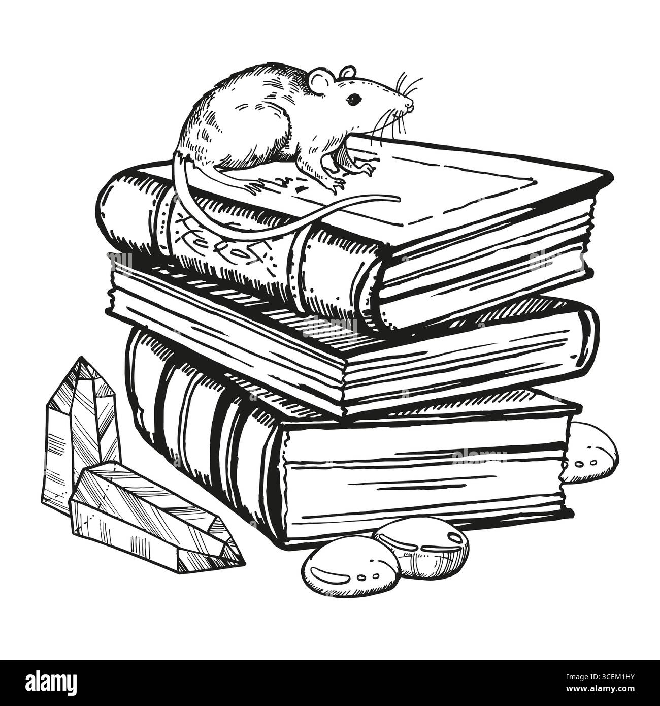 sorcellerie vectorielle monochrome, équipement magique, livres anciens, folios, cristaux magiques, animal de rat assis, illustration noire et blanche du thème mystique Illustration de Vecteur