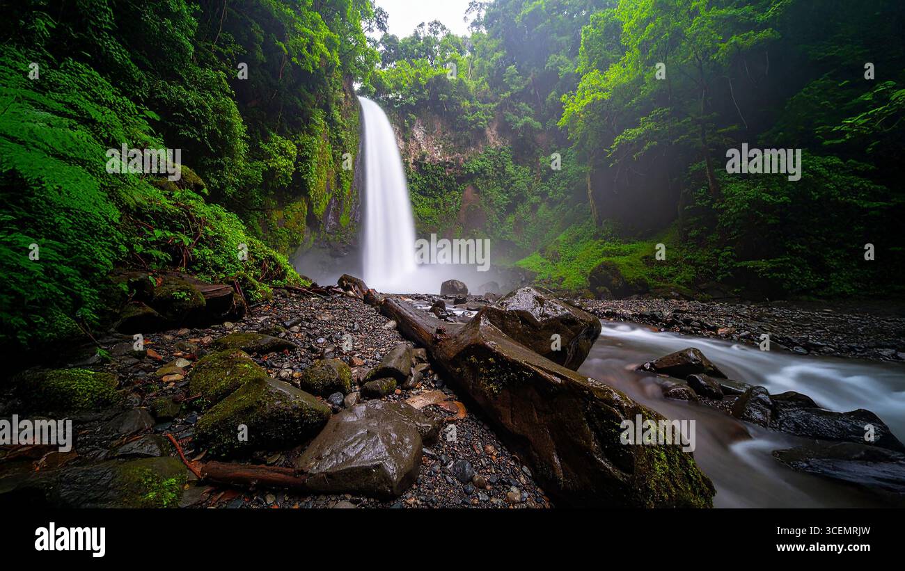 Cascade pittoresque dans la forêt tropicale verte Banque D'Images