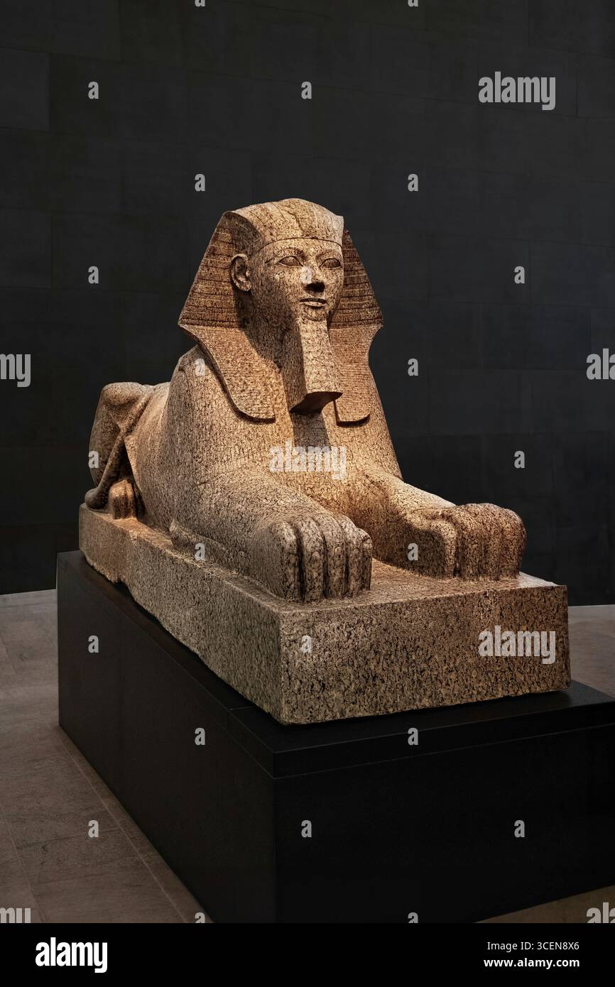 New York - 13 juin 2025 : Sphinx égyptien de Hatshepsout, New Kingdom, vers 1479–1458 av. J.-C.. Ce sphinx colossal représente le pharaon féminin Hatshe Banque D'Images