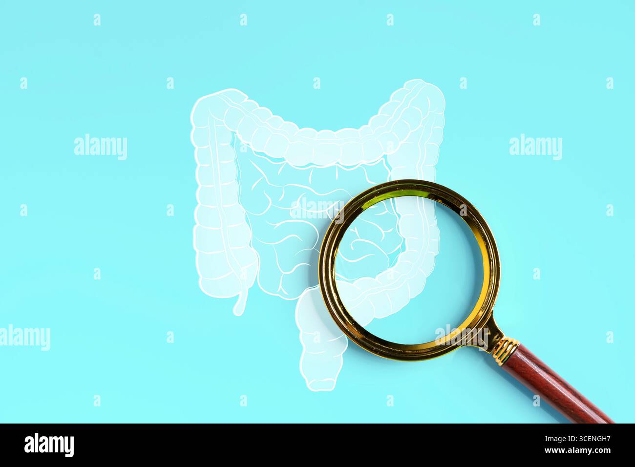 Loupe mettant en évidence l'illustration de l'intestin humain sur fond bleu, symbolisant le système digestif, la santé du côlon, le diagnostic médical, la gastroïne Banque D'Images