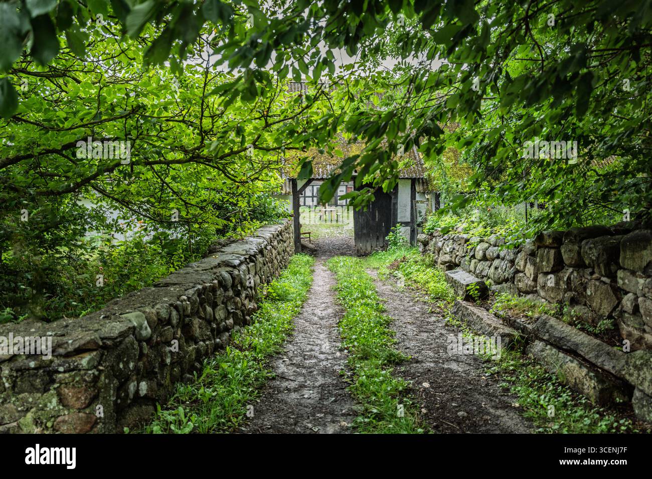 Une scène pittoresque montrant un chemin de pierre bordé de verdure luxuriante et menant à un chalet rustique, évoquant la paix, la nature et le charme intemporel. Banque D'Images