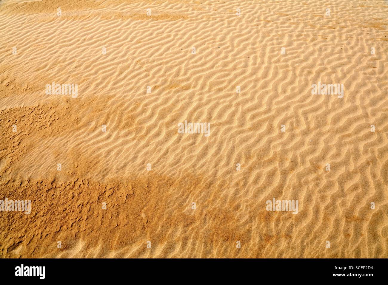 Texture de motif de sable au Maroc. Le sable du désert ripple l'arrière-plan. Banque D'Images