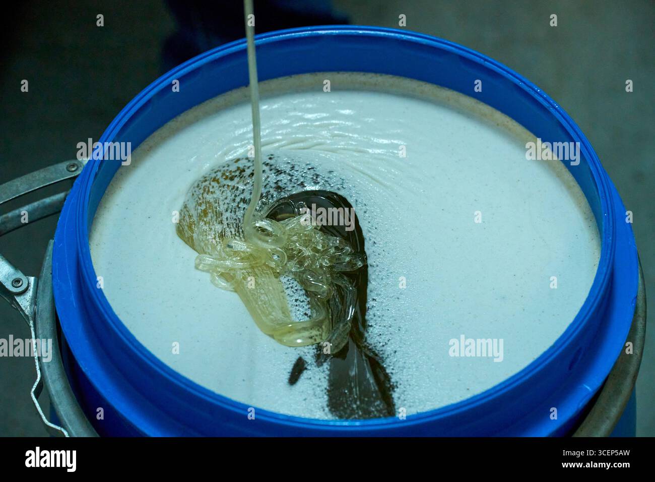 Fût de miel doré collecté dans les ruches, production alimentaire naturelle. Miel biologique frais, produit naturel sucré issu de l'apiculture traditionnelle. Banque D'Images