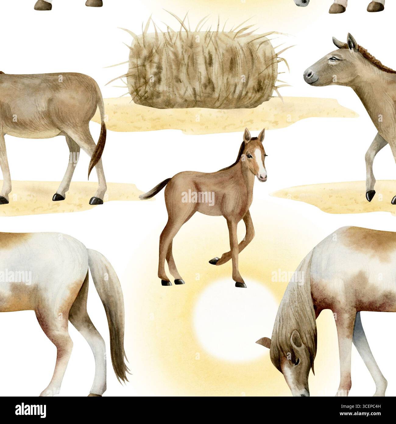 Modèle sans couture avec chevaux, poulain de bébé et ânes sur blanc. Les animaux de ferme d'aquarelle répètent le fond avec des piles de foin, un sol de sable et un soleil brillant Banque D'Images