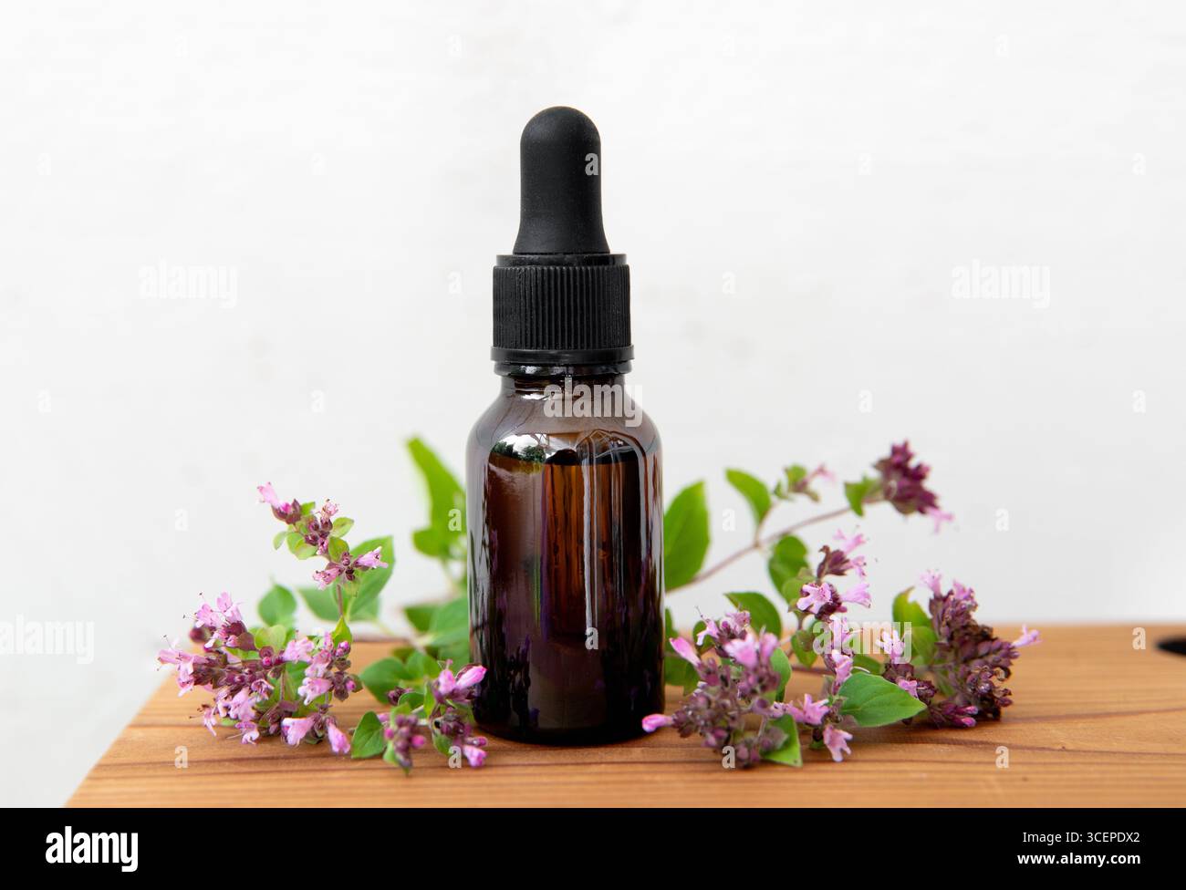 Teinture médicinale à base de plantes maison à base d'origan, Origanum vulgare. Fleurs de plantes fraîches à côté de la bouteille en verre brun, fond blanc à l'intérieur. Banque D'Images