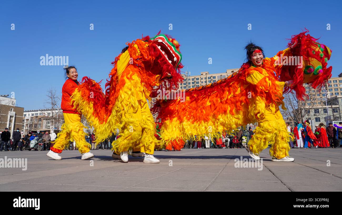 Comté de Luannan, Chine - 13 février 2025 : les gens exécutent des danses du lion sur la place pour célébrer le festival traditionnel chinois - le Festiv des lanternes Banque D'Images