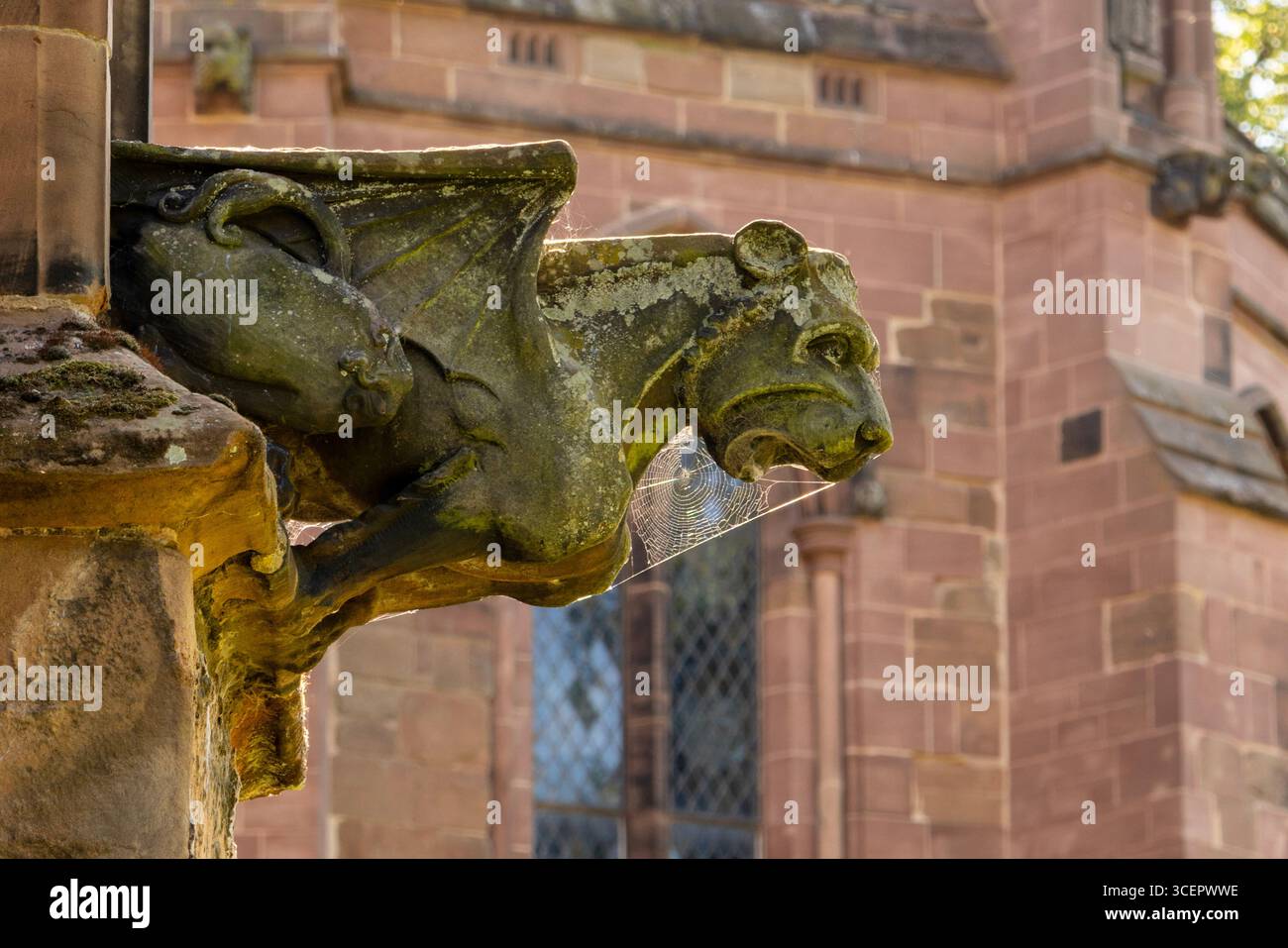 Grotesque 14 sur la cathédrale de Lichfield dans le Staffordshire Banque D'Images
