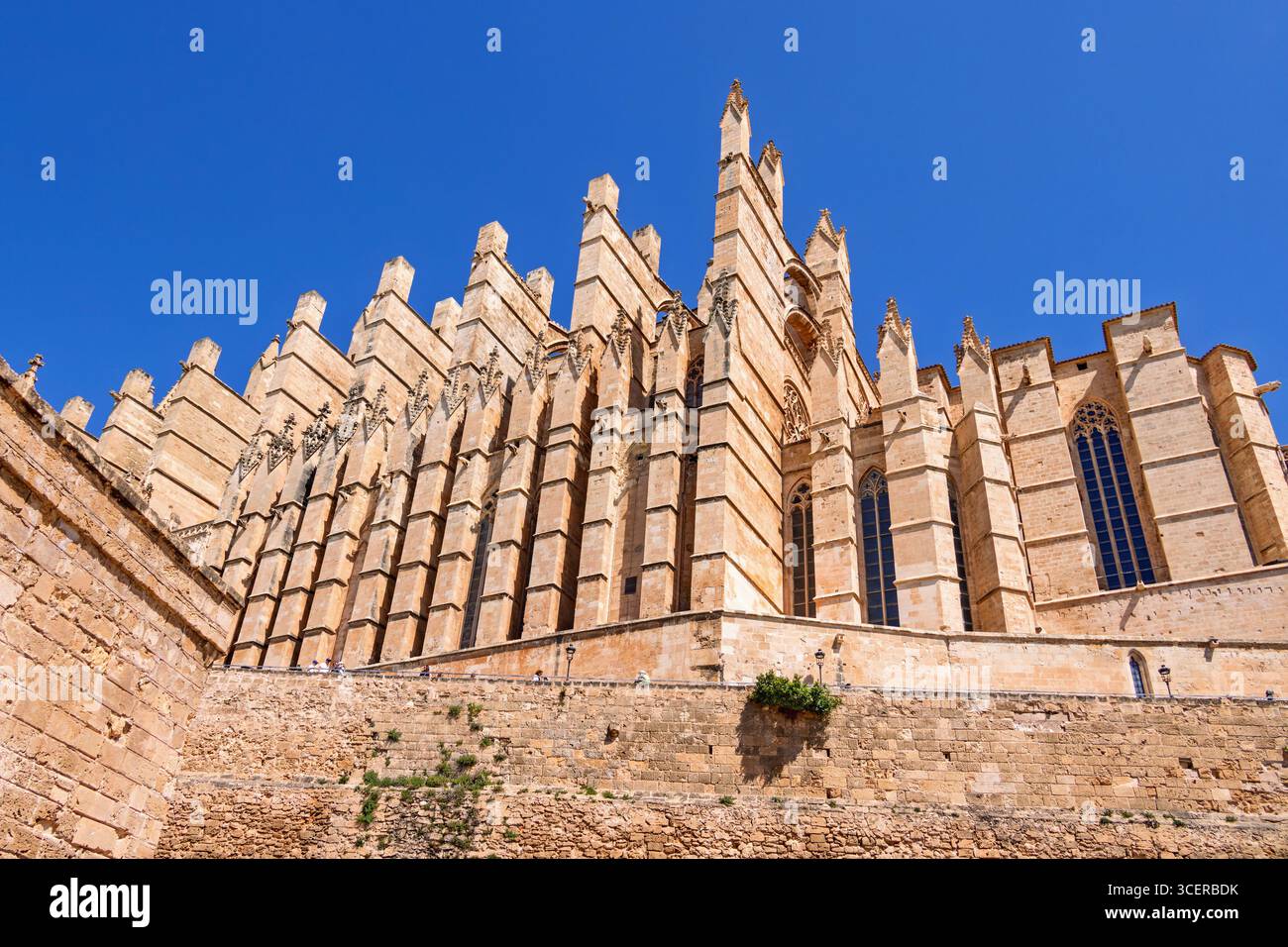 Vue en bas angle sur la cathédrale de Palma et les remparts de la ville Banque D'Images