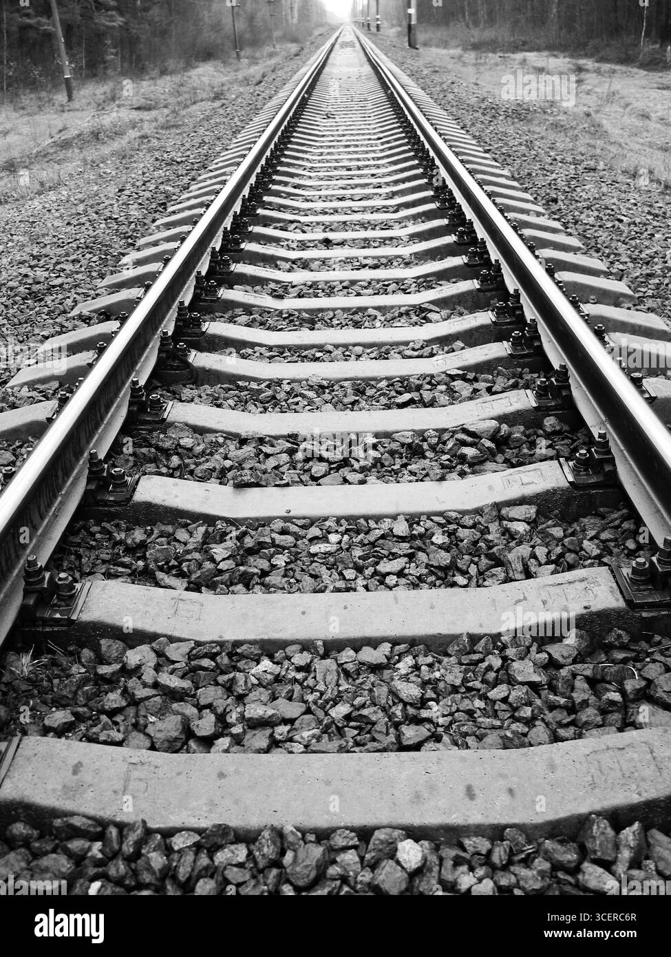 Photo artistique verticale en noir et blanc d'une voie ferrée s'étendant au loin. Concept de distances et de longs trajets. Banque D'Images