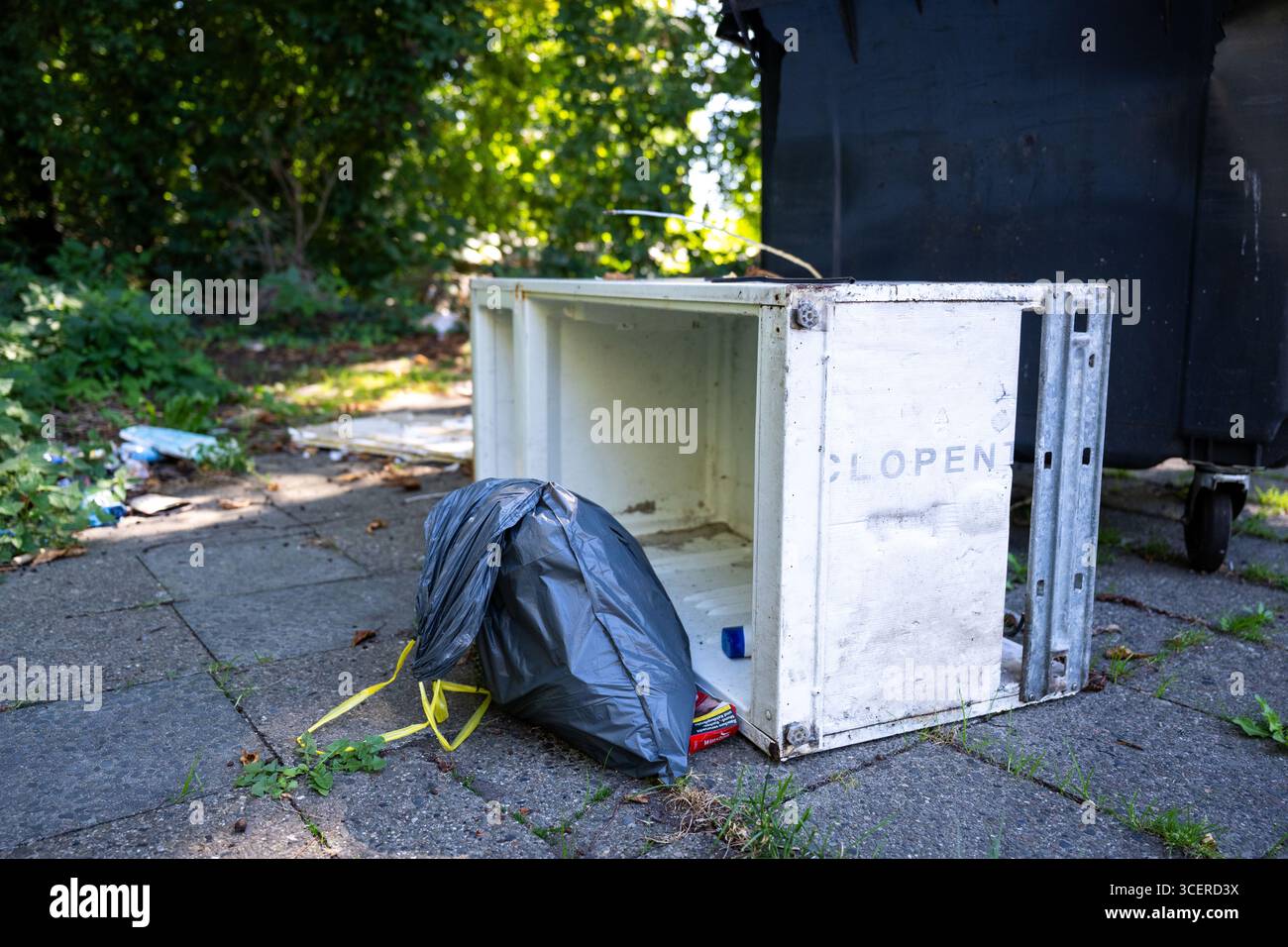 Berlin, Allemagne. 19 août 2025. Élimination illégale des déchets dans un parking. L'élimination illégale des déchets à Berlin devient plus coûteuse qu'auparavant. Crédit : Christophe Gateau/dpa/Alamy Live News Banque D'Images