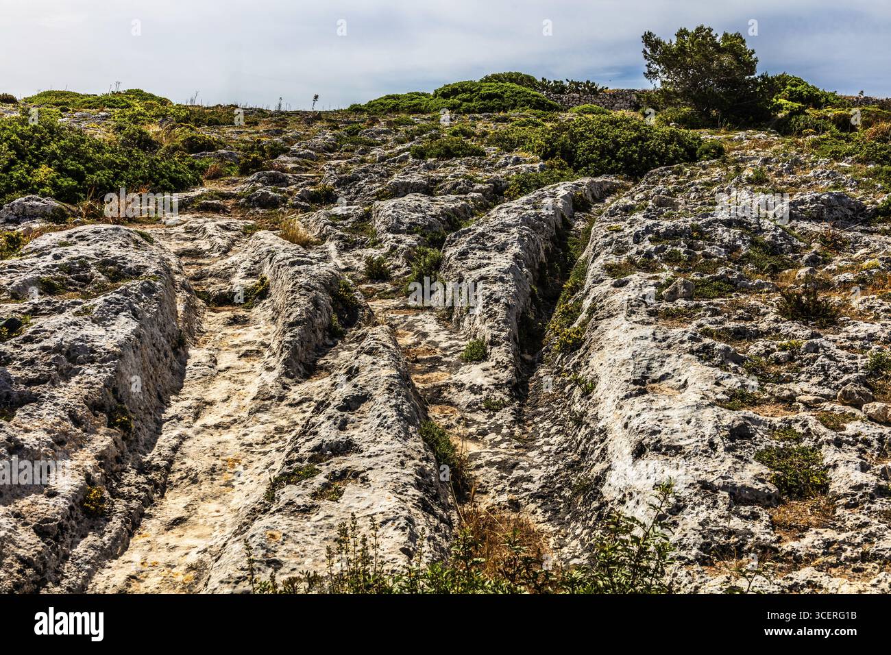 Accumulation de marques de meulage préhistoriques, également connues sous le nom d'ornières de charrue, d'origine inconnue, Malte Banque D'Images