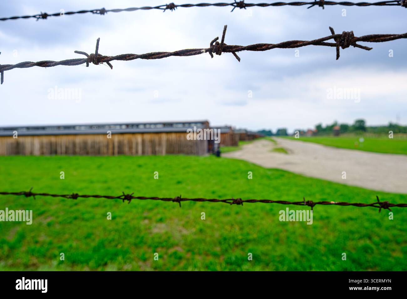 Une vue sombre à travers des clôtures de barbelés rouillées montrant la caserne en bois à Auschwitz-Birkenau, où les prisonniers étaient logés dans des conditions inhumaines. Banque D'Images