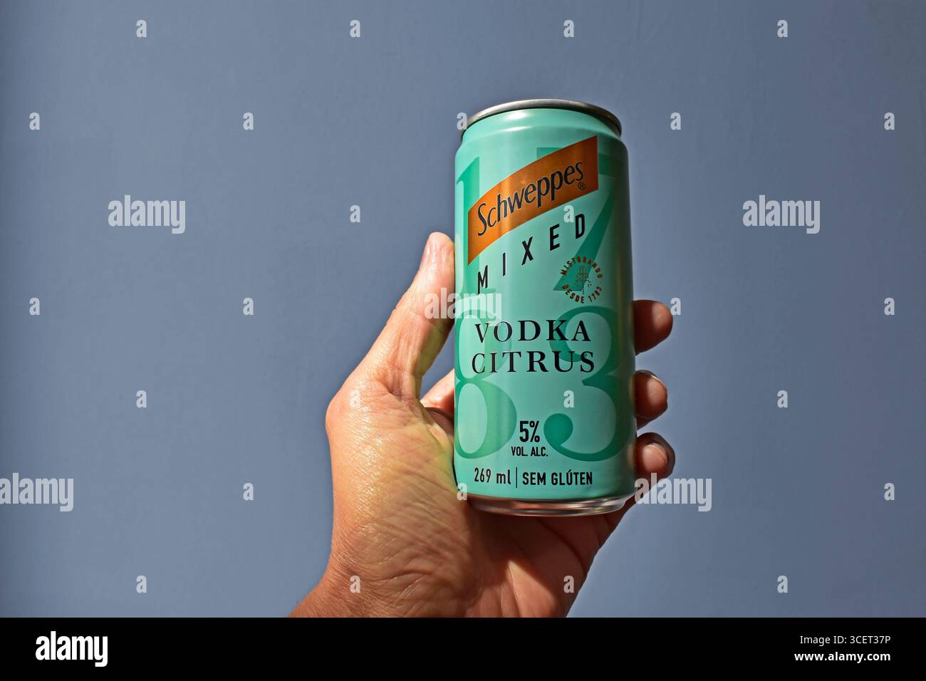 RIO DE JANEIRO, BRÉSIL - 13 août 2025 : main tenant une canette de boisson avec de l'eau tonique, de la vodka et du citron Banque D'Images