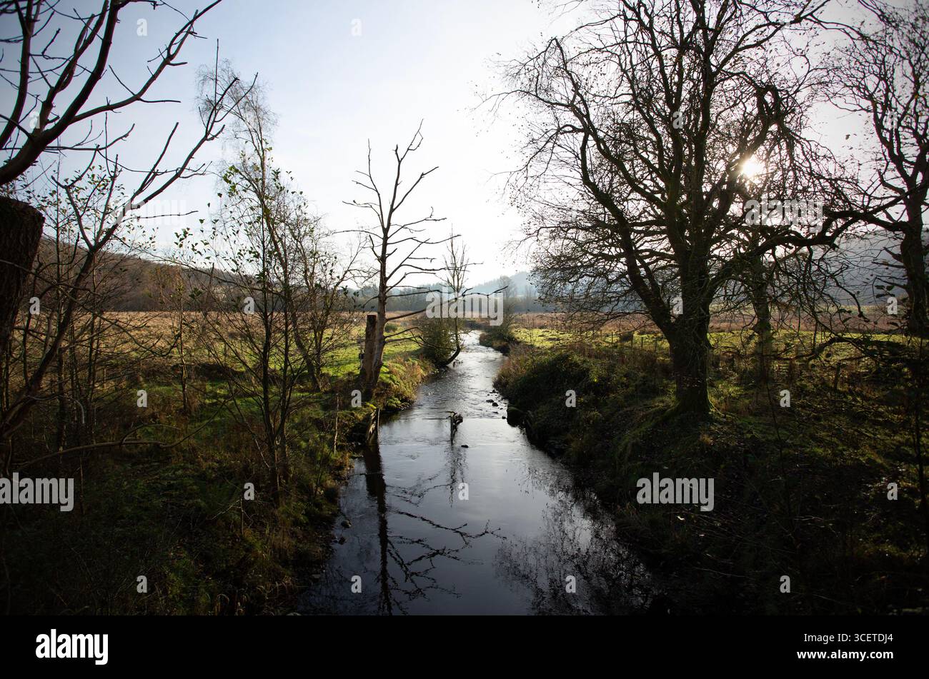 Cunsey Beck est l'une des nombreuses rivières et ruisseaux qui reconstituent le lac Windermere. En 2022, le Beck a été le théâtre d'un incident de pollution majeur et de nombreux Banque D'Images