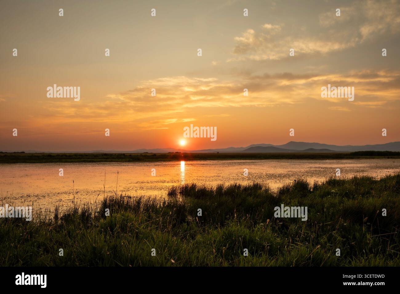 ID00923-00...IDAHO - coucher de soleil à Camas Prarie Wildlife conservation Area. Banque D'Images