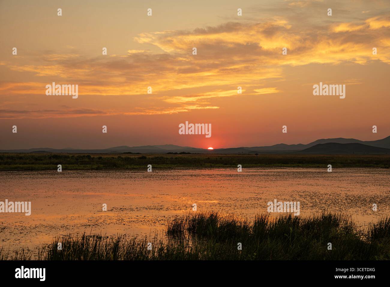 ID00925-00...IDAHO - coucher de soleil à la Camas Prairie Wildlife conservation Area. Banque D'Images