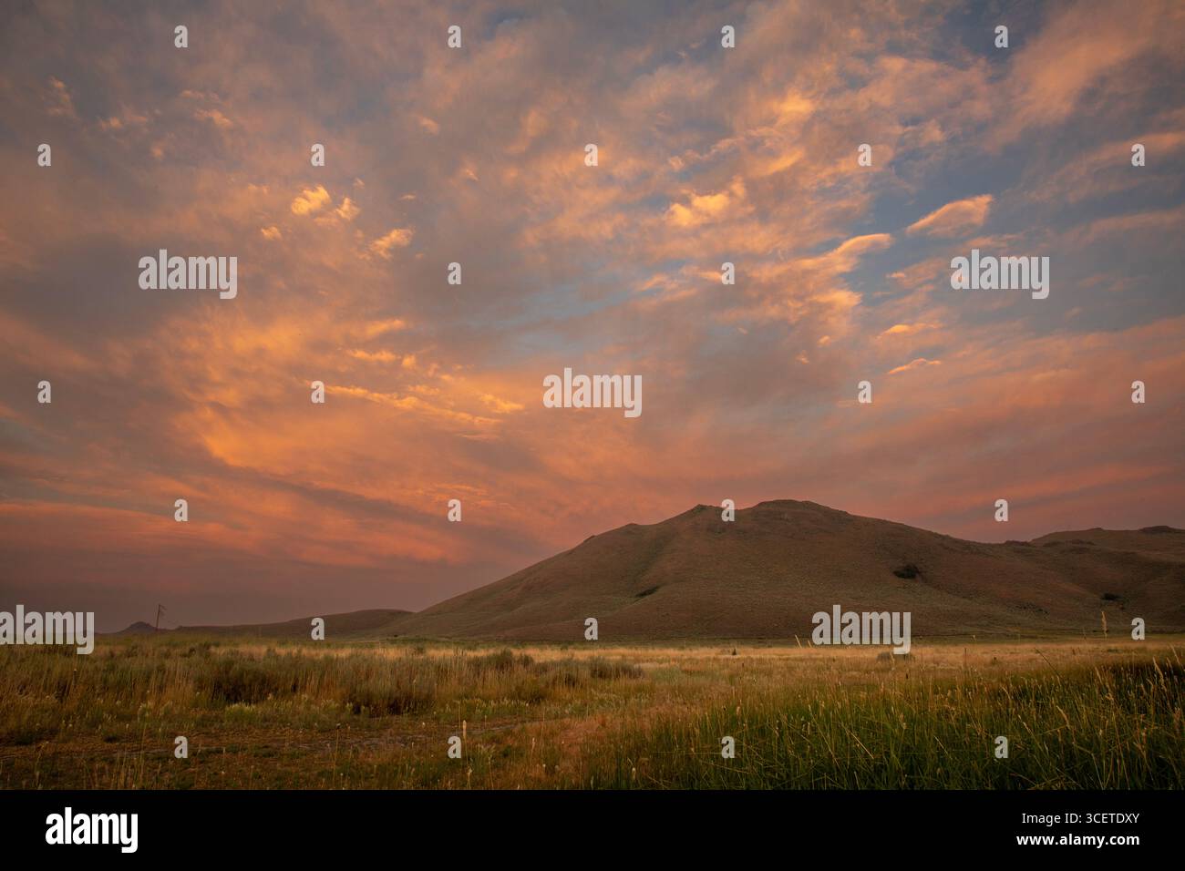 ID00927-00...IDAHO - coucher de soleil sur les collines ondulantes au sud de la zone de conservation de la faune des Prairies de Camas Banque D'Images