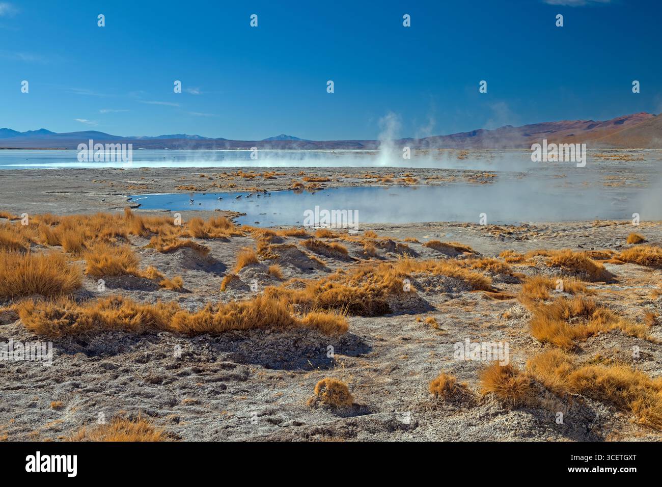Sources chaudes dans l'altiplano de Bolivie dans le Salar de Uyuni Banque D'Images