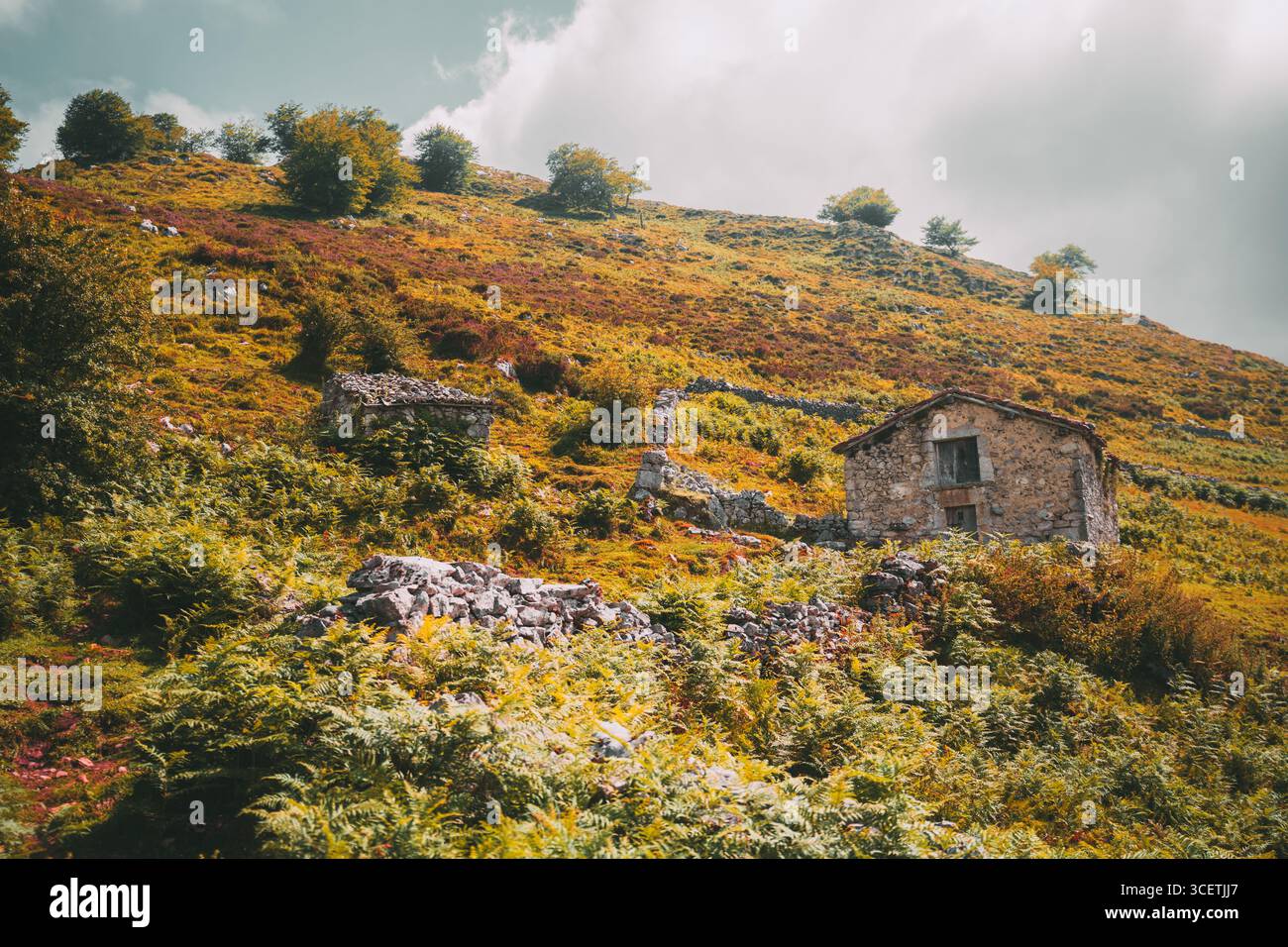 Cabanes en pierre rustiques sur une colline colorée couverte de fougères vertes et de végétation d'automne, avec des arbres dispersés sous un ciel nuageux dans une montagne paisible Banque D'Images
