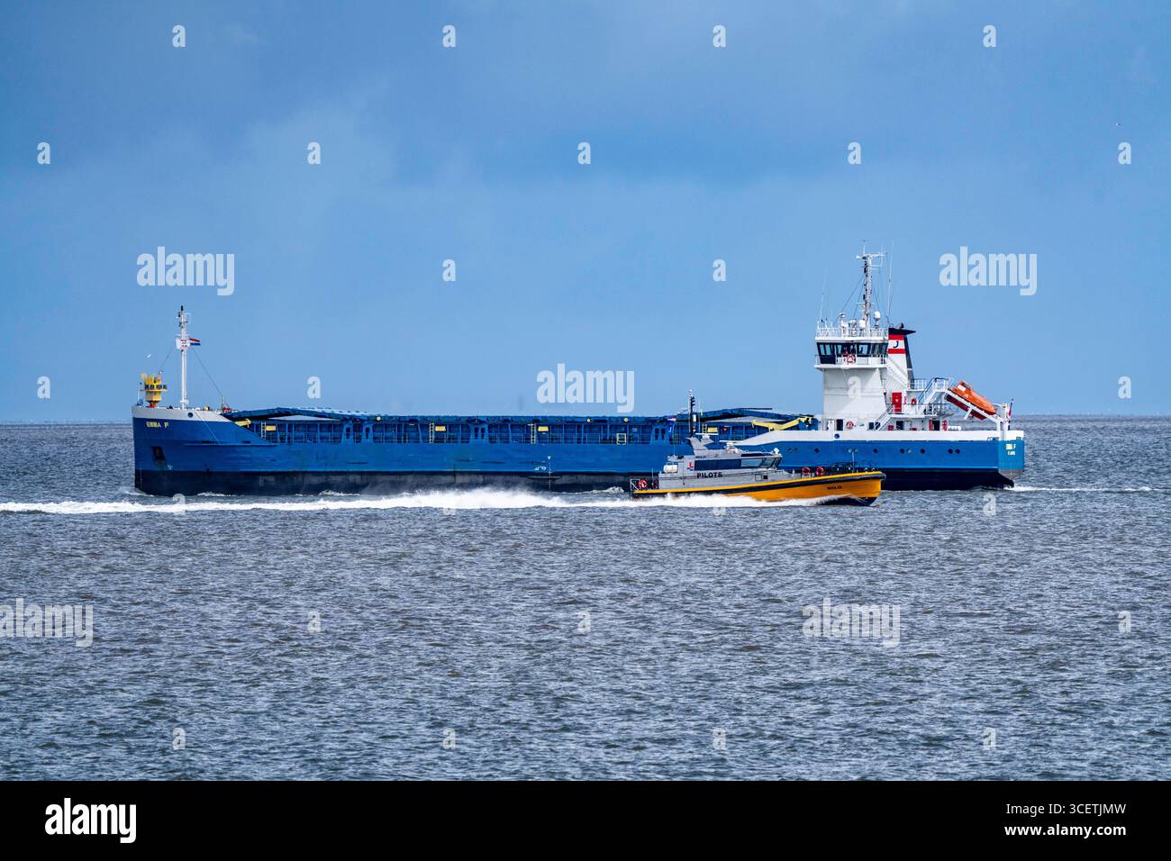 Le bateau pilote Milo amène des pilotes de mer aux navires pour assurer l'entrée et la sortie en toute sécurité du port, ici au large du port maritime d'Eemshaven, cargo Emma F, estua EMS Banque D'Images