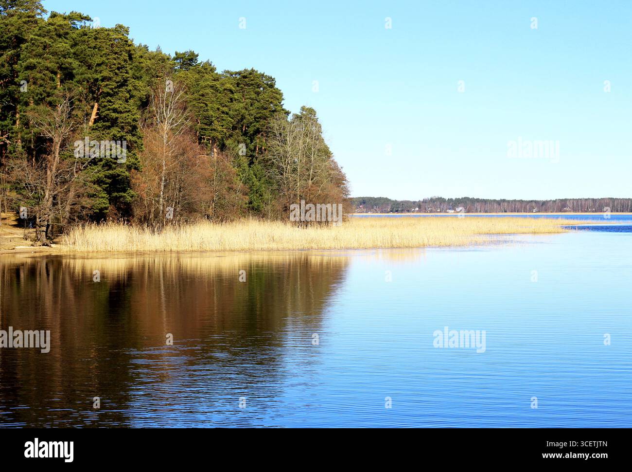 Au lac Ķīšezers à Mežaparks près de Riga, Lettonie, l'eau bleue et la forêt se côtoient Banque D'Images