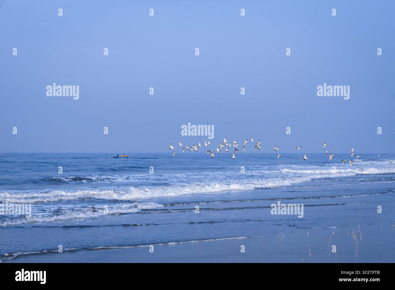Calme Varca, Goa, bord de mer avec des vagues, mouettes volantes, et un bateau de pêche à l'horizon sous un ciel bleu clair, un paysage naturel côtier paisible. Banque D'Images